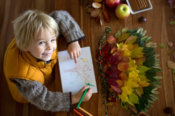 甘い子 男の子 家で秋の葉で芸術や工芸品をやっている間に接着剤を使用して葉を適用すると 葉のカラフルなスペクトル — ストック写真