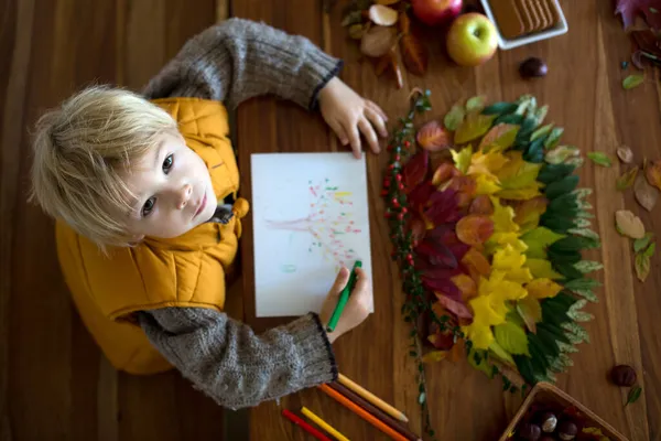甘い子 男の子 家で秋の葉で芸術や工芸品をやっている間に接着剤を使用して葉を適用すると 葉のカラフルなスペクトル — ストック写真