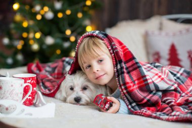Küçük tatlı bir çocuk, noel kıyafetleri içinde bir çocuk, Noel 'de ahşap bir kulübede oynamak, onun etrafında dolaşmak. Çocuk kitabı okuyor ve çay içiyor.
