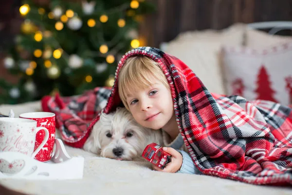 Enfant Tout Petit Mignon Garçon Dans Une Tenue Noël Jouant — Photo