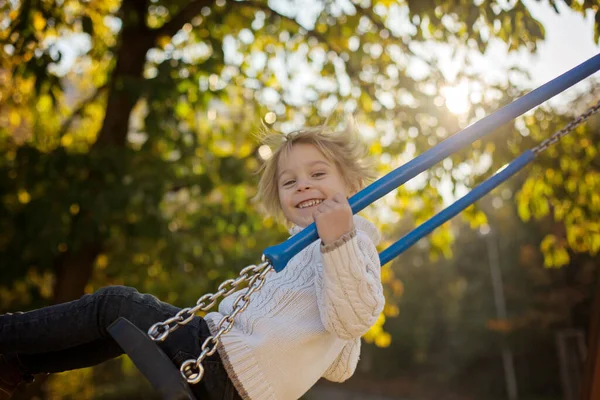 Boldog Gyerekek Játszik Kisállat Kutya Őszi Parkban Egy Napsütéses Napon — Stock Fotó
