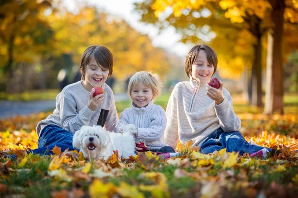 Enfants Heureux Jouer Avec Chien Compagnie Dans Parc Automne Par — Photo