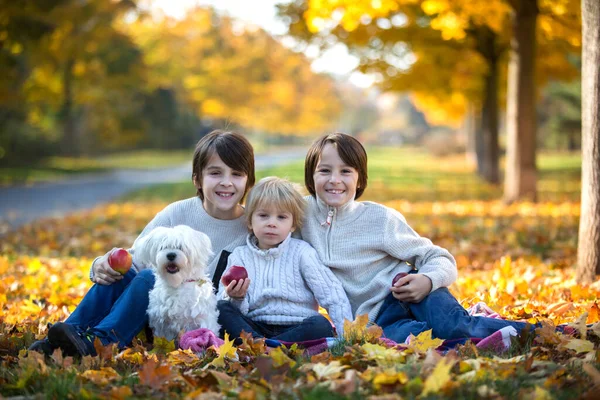 Crianças Felizes Brincando Com Cão Estimação Parque Outono Dia Ensolarado — Fotografia de Stock