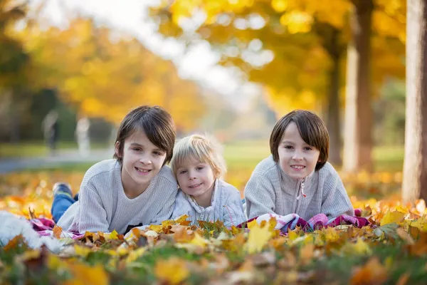 幸せな子供たちは 晴れた日に秋の公園でペット犬と遊んで 葉や葉を周りに残しています — ストック写真