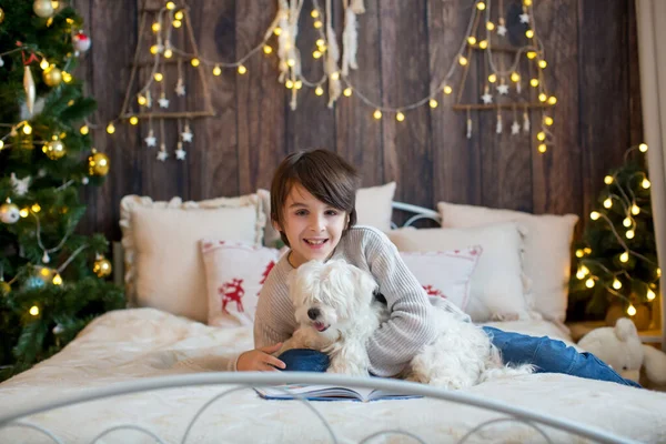 子供とペットの犬と幸せな家族 一緒にクリスマスの時間を楽しんで クリスマスを祝う — ストック写真