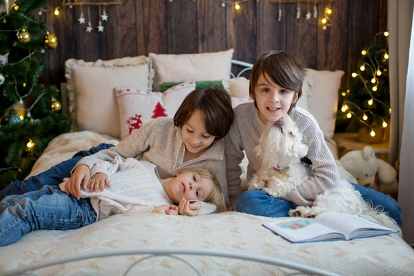 Happy Family Children Pet Dog Enjoying Christmas Time Together Celethday — Stock fotografie