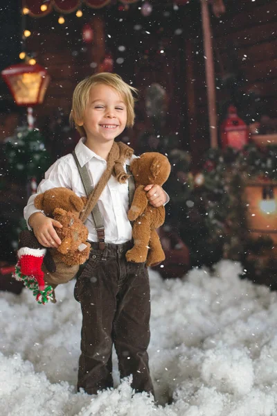 크리스마스 장식용 앞에서 속에서 귀여운 아장아장 — 스톡 사진