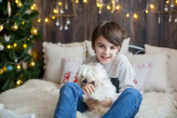 Criança Feliz Cachorro Estimação Curtindo Natal Juntos Celebrando Natal — Fotografia de Stock