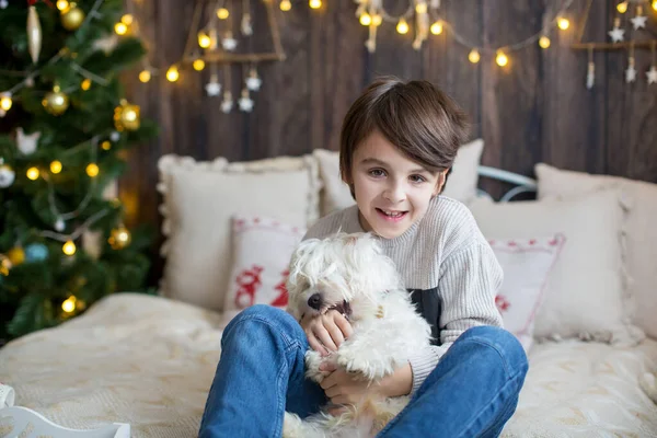 Feliz Niño Perro Mascota Disfrutando Navidad Juntos Celebrando Navidad —  Fotos de Stock