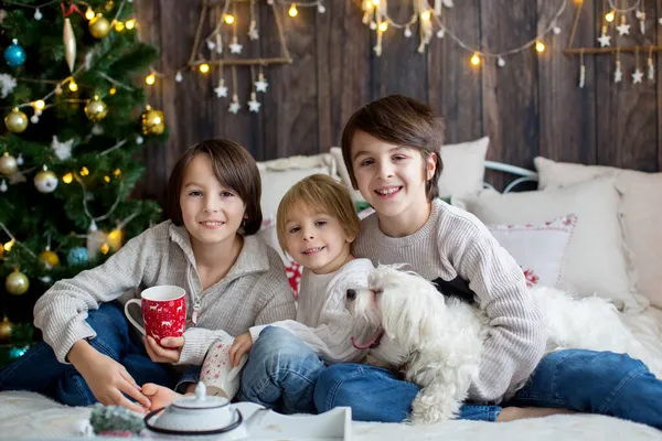 Счастливая Семья Детьми Собакой Наслаждающаяся Рождеством Вместе Празднующая Новый Год — стоковое фото