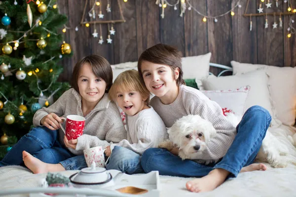 Gelukkig Gezin Met Kinderen Huisdier Hond Genieten Van Kerstmis Samen — Stockfoto