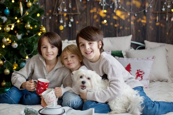 Happy Family Children Pet Dog Enjoying Christmas Time Together Celethday — Stock fotografie