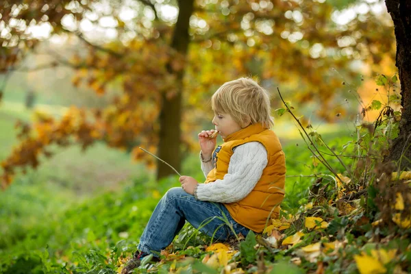 Glückliches Kind Spielt Mit Herbstpark Einem Sonnigen Tag Laub Und — Stockfoto