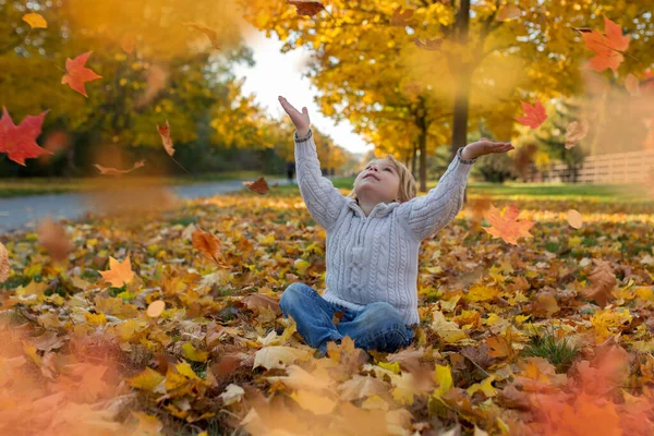Счастливые Дети Играющие Собакой Осеннем Парке Солнечный День Листья Листья — стоковое фото