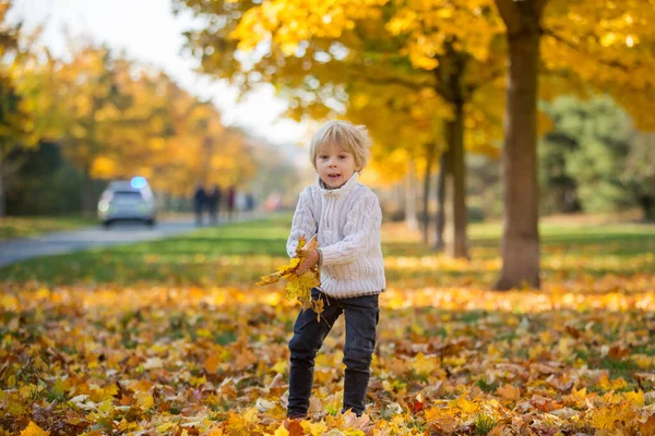 Bambino Felice Giocando Con Cane Compagnia Nel Parco Autunnale Una — Foto Stock