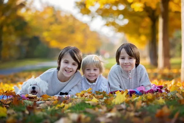 幸せな子供たちは 晴れた日に秋の公園でペット犬と遊んで 葉や葉を周りに残しています — ストック写真
