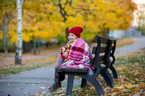 Bambino Felice Giocare Con Nel Parco Autunnale Una Giornata Sole — Foto Stock