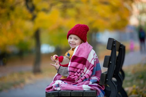 快乐的孩子 在一个阳光灿烂的日子 在秋天的公园里玩耍 身边的树叶 吃着苹果 — 图库照片