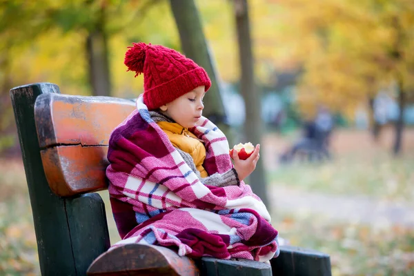 Criança Feliz Brincando Com Parque Outono Dia Ensolarado Folhagem Folhas — Fotografia de Stock