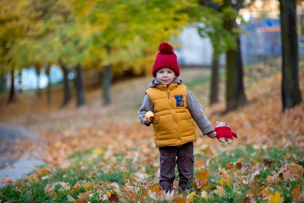 Mutlu Çocuk Güneşli Bir Günde Sonbahar Parkında Oynuyor Yeşillik Yapraklar — Stok fotoğraf