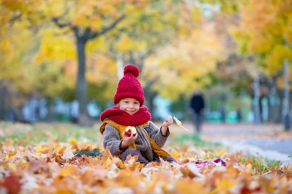 Happy Child Playing Autumn Park Sunny Day Foliage Leaves All — Stock Photo, Image