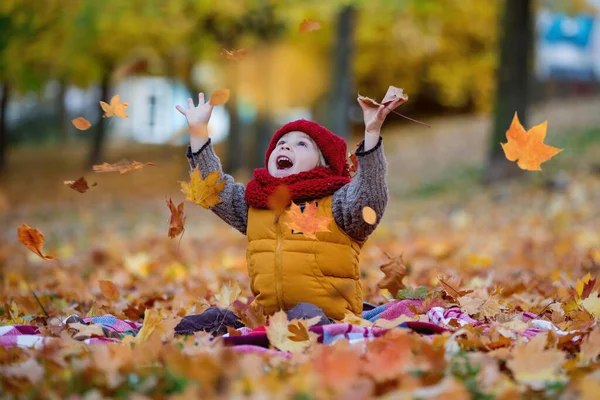 Criança Feliz Brincando Com Parque Outono Dia Ensolarado Folhagem Folhas — Fotografia de Stock