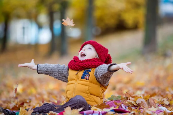 Criança Feliz Brincando Com Parque Outono Dia Ensolarado Folhagem Folhas — Fotografia de Stock