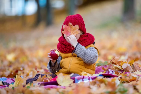 Glückliches Kind Spielt Mit Herbstpark Einem Sonnigen Tag Laub Und — Stockfoto