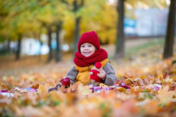 幸せな子供は 晴れた日に秋の公園で遊んで 葉や葉を彼の周りに残し リンゴを食べる — ストック写真