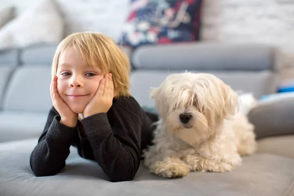 Cute Blond Child Toddle Boy Watching His Pet Maltese Dog — Stock Photo, Image