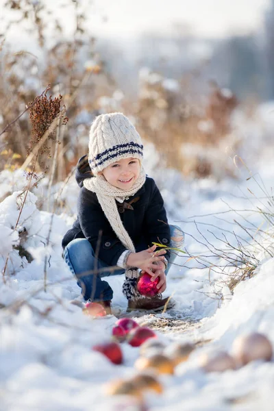 Çocuk Küçük Çocuk Karlı Bir Günde Parkın Dışında Noel Toplarıyla — Stok fotoğraf