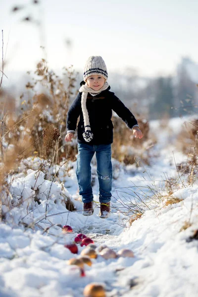 Kind Peuter Jongen Spelen Met Kerstballen Voor Decoratie Buiten Het — Stockfoto