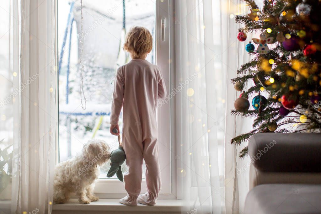 Cute toddler boy in pajama, standing in front of a big french windows with his pet dog, enjoying the snow outside