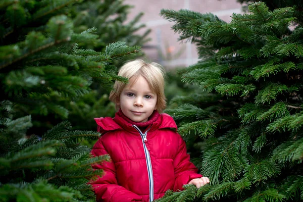 Biondo Bambino Bambino Giacca Rossa Acquisto Albero Natale All Aperto — Foto Stock