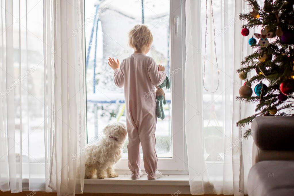 Cute toddler boy in pajama, standing in front of a big french windows with his pet dog, enjoying the snow outside