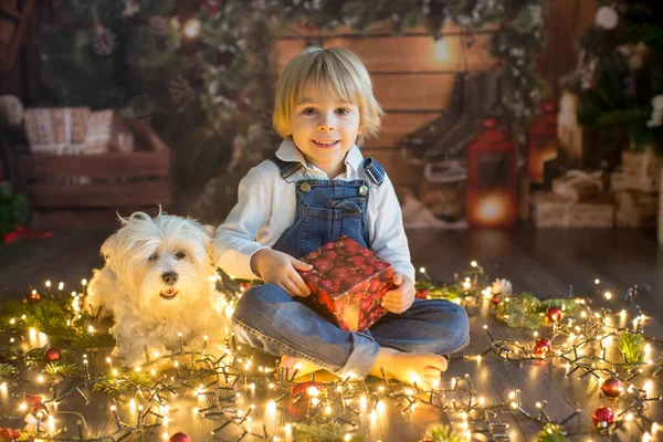 Toddler Child Cute Blond Boy Sitting Floor Pet Dog Christmas — Stockfoto