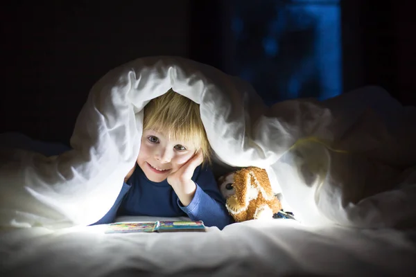 Liebenswertes Blondes Kleinkind Netter Junge Liest Kleines Buch Mit Kleinem — Stockfoto