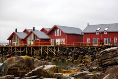 Güzel bir balıkçı kulübesi, Norveç 'te rorbu, Lofoten ve Nordland' da geleneksel evler.