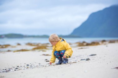 Tatlı çocuk, yazın Lofoten 'da Norveç' te beyaz kumsalda koşuyor.
