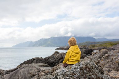 Çocuk, Norveç, Lofoten 'de bir uçurumun kenarından manzaranın keyfini çıkarıyor. İnanılmaz güzel Norveç doğası, yaz zamanı
