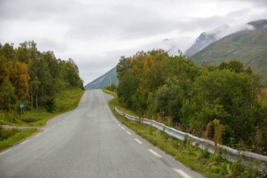 Norveç 'te fiyortlu, ağaçlı ve tipik kırmızı balıkçı kulübesiyle güzel bir manzara.
