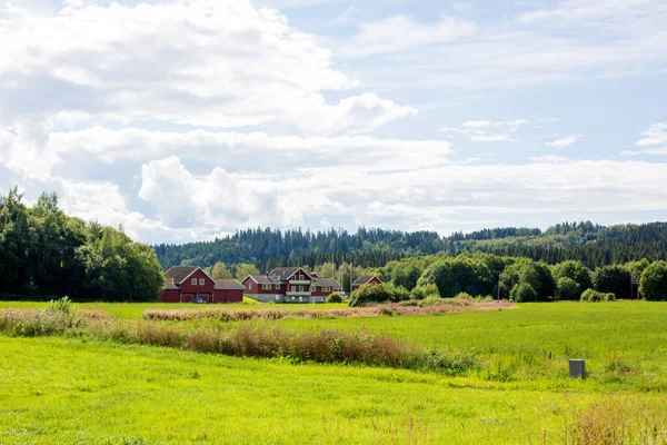 Norveç 'te fiyortlarla, ağaçlarla ve güzel gökyüzüyle güzel bir manzara, yaz mevsimi.