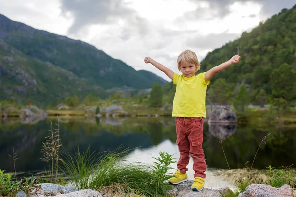 Beautiful Blond Child Cute Boy Standing Edge Fjord Lofoten Enjoying — Fotografia de Stock