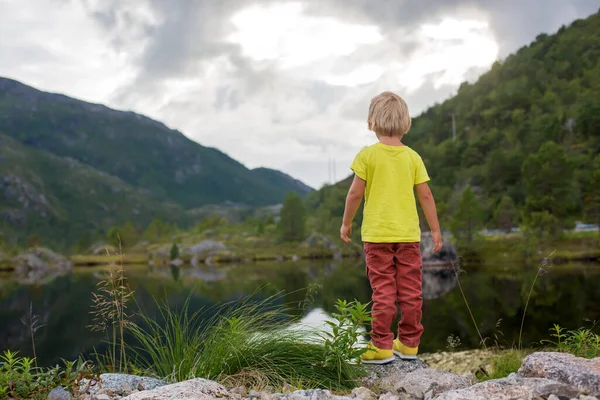 Beautiful Blond Child Cute Boy Standing Edge Fjord Lofoten Enjoying — ストック写真