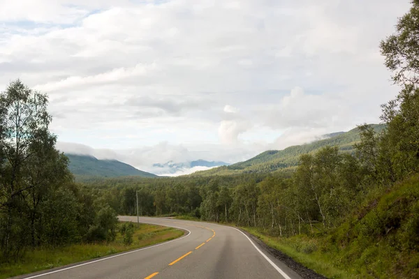 Hermoso Paisaje Noruega Con Fiordos Árboles Carretera —  Fotos de Stock