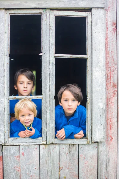 Sad Children Looking Out Window Old Ruined Building — Stockfoto