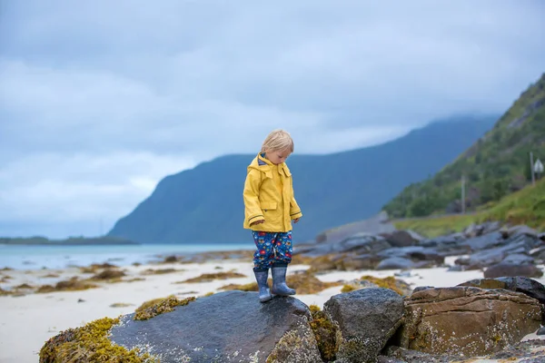 Tatlı Çocuk Yazın Lofoten Norveç Beyaz Kumsalda Koşuyor — Stok fotoğraf