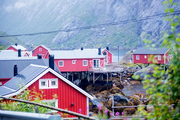 Typical Rourbuer Fishing Cabins Lofoten Nusfjord Village Rainy Day Summertime — стокове фото