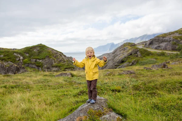 Child Enjoying Picturesque View Edge Cliff Lofoten Norway Amazing Beautiful — Zdjęcie stockowe