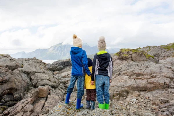 Child Enjoying Picturesque View Edge Cliff Lofoten Norway Amazing Beautiful — Foto Stock